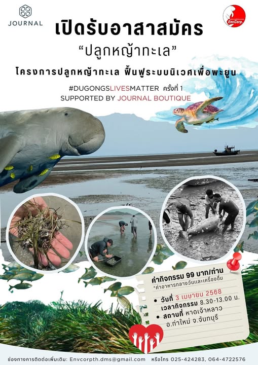 เปิดรับอาสาสมัคร