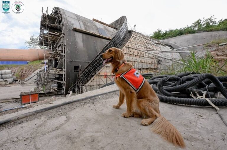 K9 หน่วยกู้ภัยที่น่าภูมิใจ เป็นความหวังที่ทุกคน